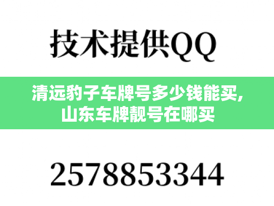 清远豹子车牌号多少钱能买,山东车牌靓号在哪买