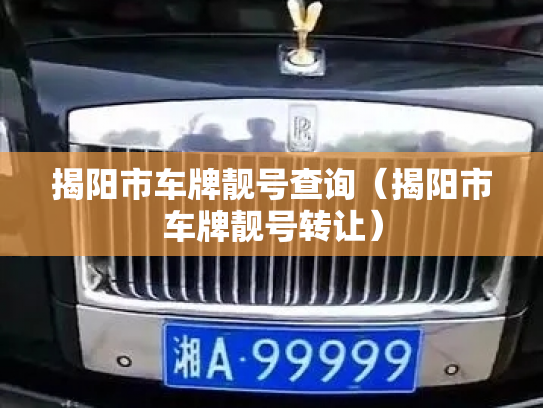 揭阳市车牌靓号查询(揭阳市车牌靓号转让)-第3张图片-七号汽车选号 揭阳市车牌靓号查询(揭阳市车牌靓号转让)-第3张图片-七号汽车选号