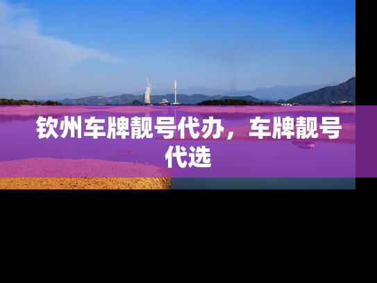 钦州车牌靓号代办，车牌靓号代选-第1张图片-七号汽车选号