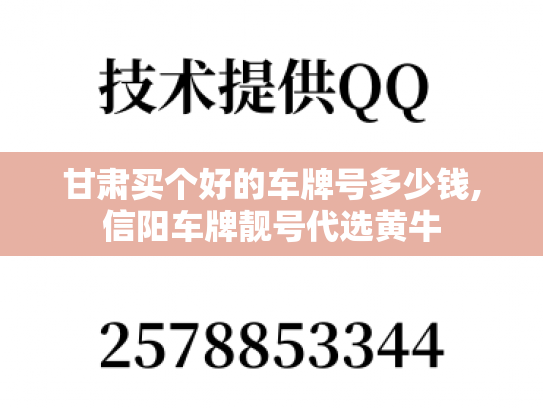 甘肃买个好的车牌号多少钱,信阳车牌靓号代选黄牛