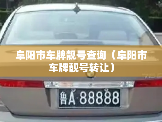 阜阳市车牌靓号查询(阜阳市车牌靓号转让)-第3张图片-七号汽车选号 阜阳市车牌靓号查询(阜阳市车牌靓号转让)-第3张图片-七号汽车选号