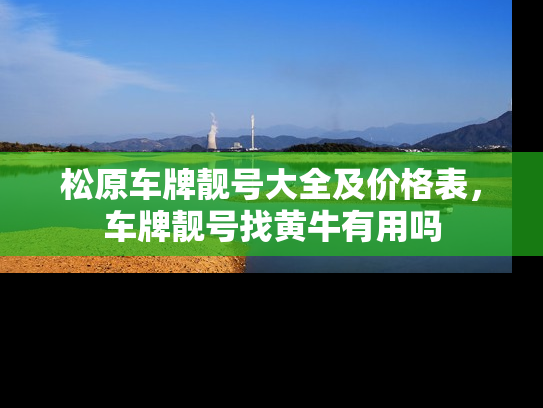 松原车牌靓号大全及价格表，车牌靓号找黄牛有用吗-第1张图片-七号汽车选号