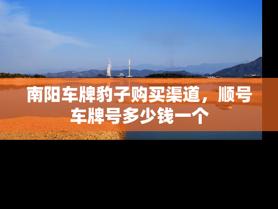 南阳车牌豹子购买渠道，顺号车牌号多少钱一个-第1张图片-七号汽车选号