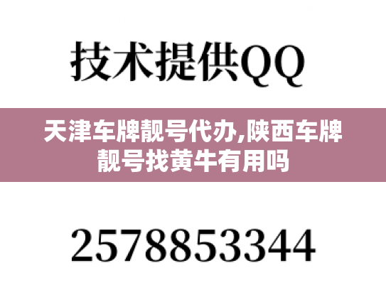 天津车牌靓号代办,陕西车牌靓号找黄牛有用吗