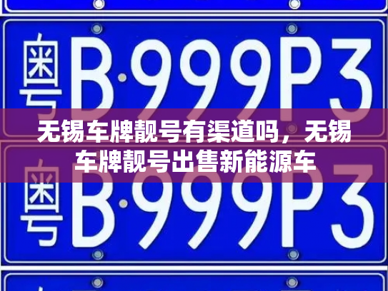 无锡车牌靓号有渠道吗，无锡车牌靓号出售新能源车-第2张图片-七号汽车选号