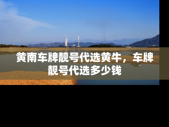 黄南车牌靓号代选黄牛，车牌靓号代选多少钱