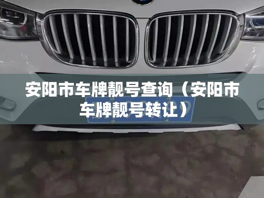 安阳市车牌靓号查询(安阳市车牌靓号转让)-第2张图片-七号汽车选号 安阳市车牌靓号查询(安阳市车牌靓号转让)-第2张图片-七号汽车选号