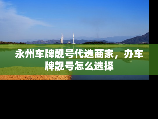 永州车牌靓号代选商家，办车牌靓号怎么选择-第1张图片-七号汽车选号