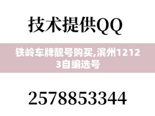 铁岭车牌靓号购买,滨州12123自编选号