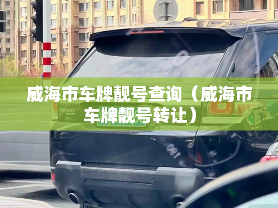 威海市车牌靓号查询(威海市车牌靓号转让)-第2张图片-七号汽车选号 威海市车牌靓号查询(威海市车牌靓号转让)-第2张图片-七号汽车选号