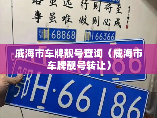 威海市车牌靓号查询(威海市车牌靓号转让)-第3张图片-七号汽车选号 威海市车牌靓号查询(威海市车牌靓号转让)-第3张图片-七号汽车选号