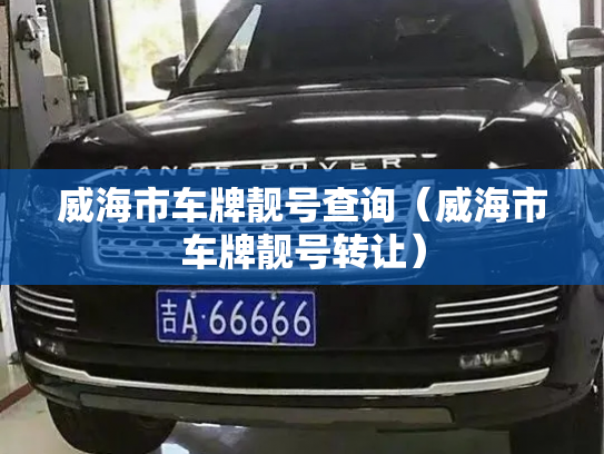 威海市车牌靓号查询（威海市车牌靓号转让）