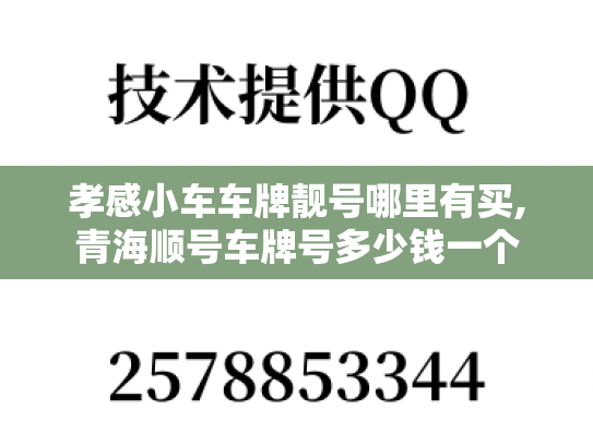 孝感小车车牌靓号哪里有买,青海顺号车牌号多少钱一个
