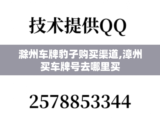 滁州车牌豹子购买渠道,漳州买车牌号去哪里买