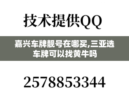 嘉兴车牌靓号在哪买,三亚选车牌可以找黄牛吗