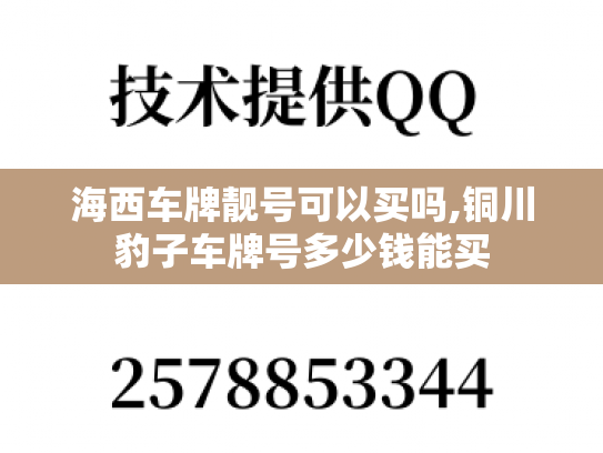 海西车牌靓号可以买吗,铜川豹子车牌号多少钱能买