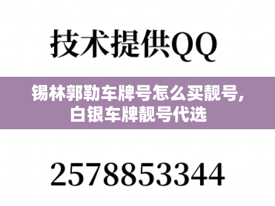 锡林郭勒车牌号怎么买靓号,白银车牌靓号代选