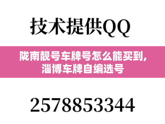 陇南靓号车牌号怎么能买到,淄博车牌自编选号