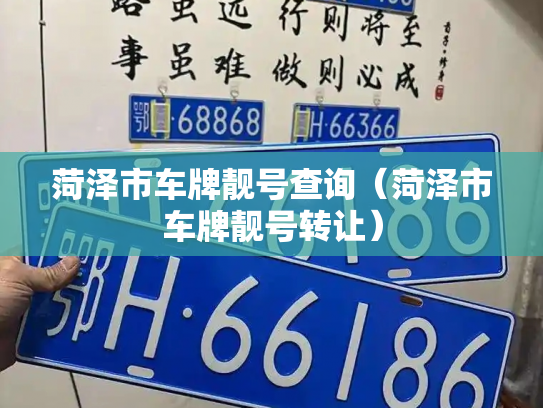 菏泽市车牌靓号查询（菏泽市车牌靓号转让）-第2张图片-七号汽车选号