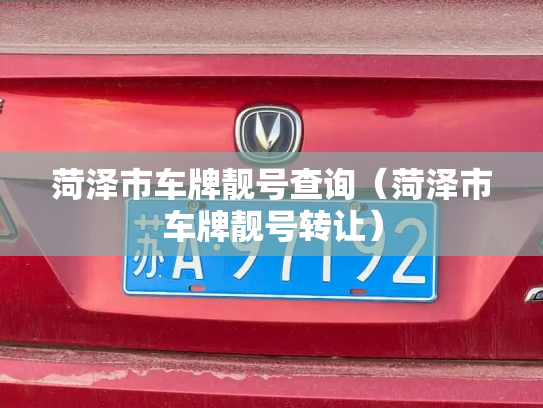 菏泽市车牌靓号查询（菏泽市车牌靓号转让）-第3张图片-七号汽车选号