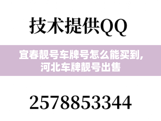 宜春靓号车牌号怎么能买到,河北车牌靓号出售