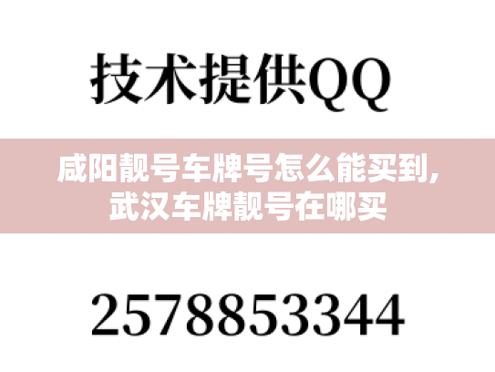 咸阳靓号车牌号怎么能买到,武汉车牌靓号在哪买