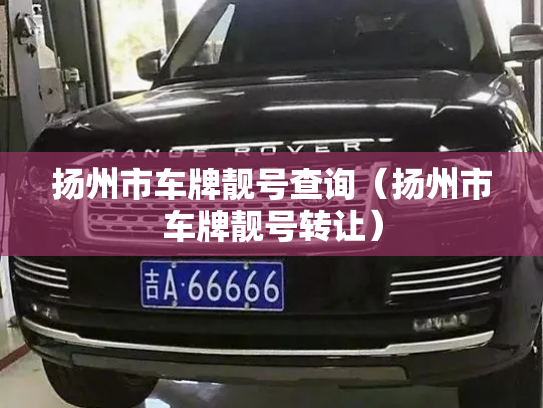 扬州市车牌靓号查询（扬州市车牌靓号转让）