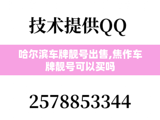 哈尔滨车牌靓号出售,焦作车牌靓号可以买吗