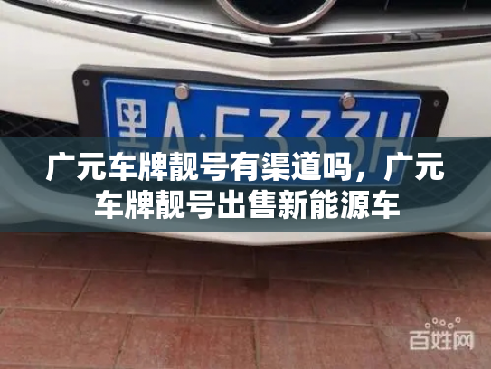 广元车牌靓号有渠道吗,广元车牌靓号出售新能源车-第2张图片-七号汽车选号 广元车牌靓号有渠道吗,广元车牌靓号出售新能源车-第2张图片-七号汽车选号