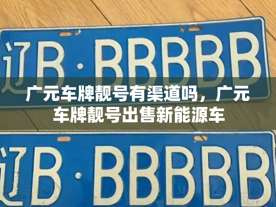 广元车牌靓号有渠道吗,广元车牌靓号出售新能源车-第3张图片-七号汽车选号 广元车牌靓号有渠道吗,广元车牌靓号出售新能源车-第3张图片-七号汽车选号