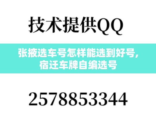 张掖选车号怎样能选到好号,宿迁车牌自编选号