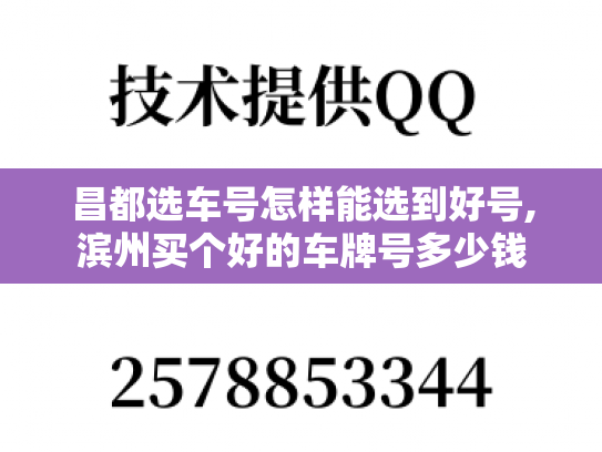 昌都选车号怎样能选到好号,滨州买个好的车牌号多少钱