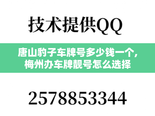 唐山豹子车牌号多少钱一个,梅州办车牌靓号怎么选择