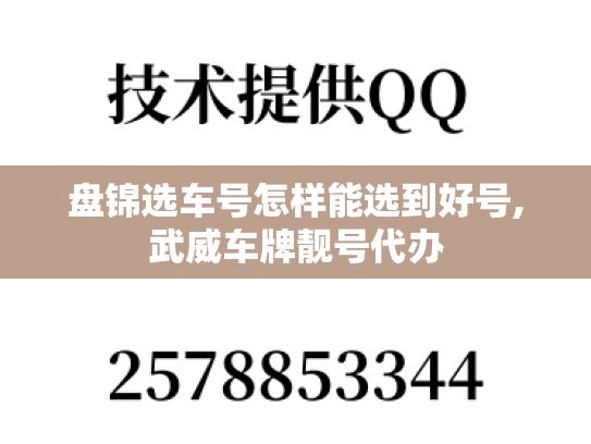 盘锦选车号怎样能选到好号,武威车牌靓号代办