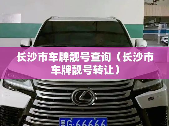 长沙市车牌靓号查询（长沙市车牌靓号转让）