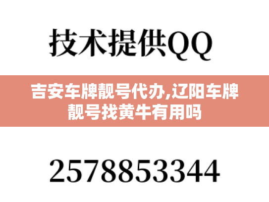吉安车牌靓号代办,辽阳车牌靓号找黄牛有用吗