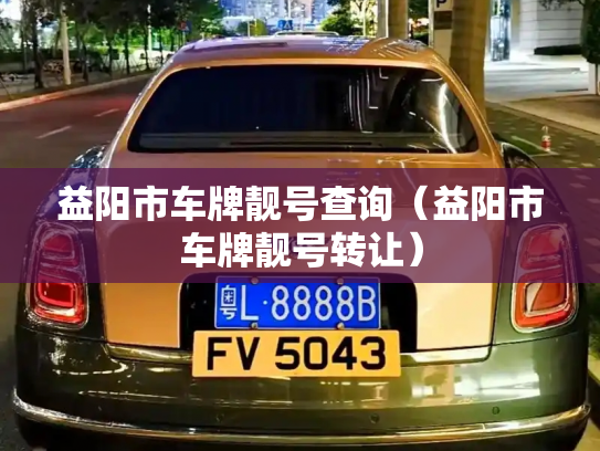 益阳市车牌靓号查询（益阳市车牌靓号转让）