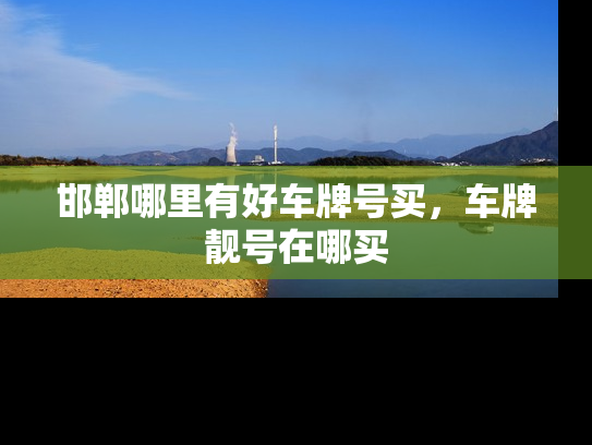 邯郸哪里有好车牌号买，车牌靓号在哪买