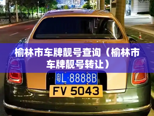 榆林市车牌靓号查询（榆林市车牌靓号转让）-第3张图片-七号汽车选号