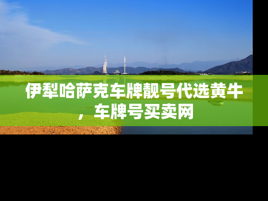 伊犁哈萨克车牌靓号代选黄牛，车牌号买卖网-第1张图片-七号汽车选号