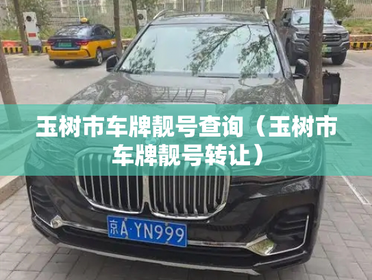 玉树市车牌靓号查询（玉树市车牌靓号转让）-第2张图片-七号汽车选号