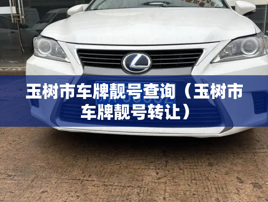 玉树市车牌靓号查询（玉树市车牌靓号转让）-第3张图片-七号汽车选号