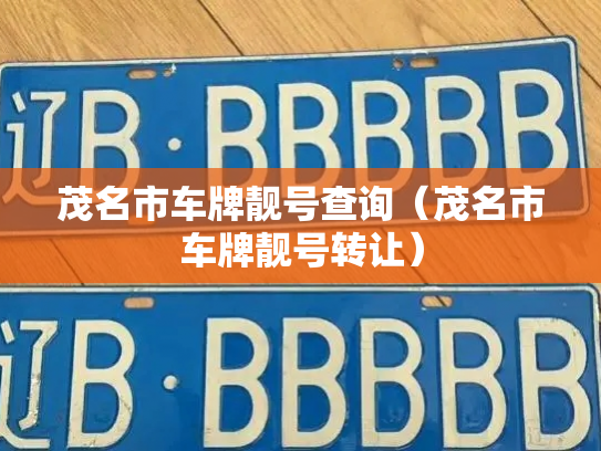 茂名市车牌靓号查询（茂名市车牌靓号转让）-第3张图片-七号汽车选号