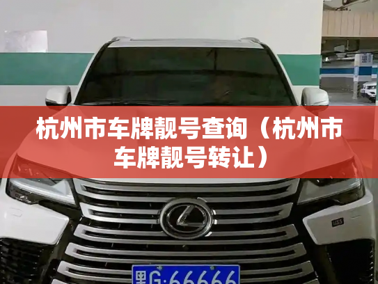 杭州市车牌靓号查询（杭州市车牌靓号转让）-第3张图片-七号汽车选号