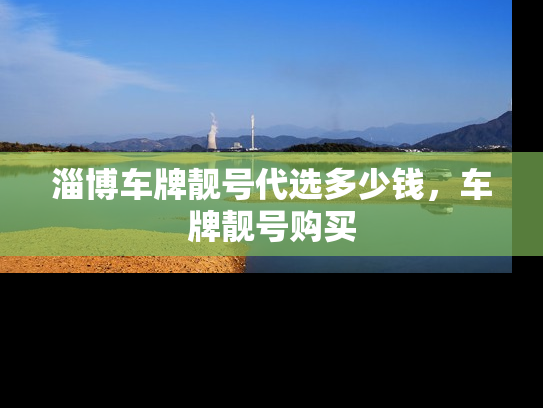 淄博车牌靓号代选多少钱，车牌靓号购买-第1张图片-七号汽车选号
