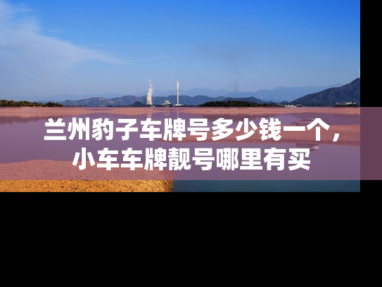 兰州豹子车牌号多少钱一个，小车车牌靓号哪里有买-第1张图片-七号汽车选号