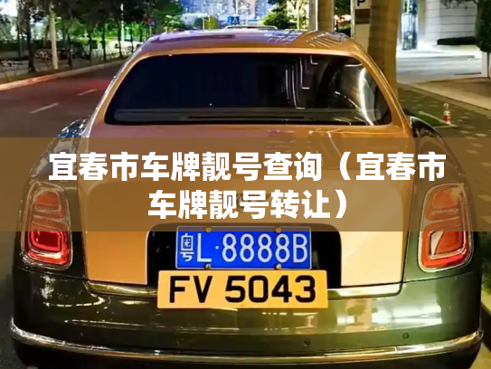 宜春市车牌靓号查询（宜春市车牌靓号转让）-第3张图片-七号汽车选号