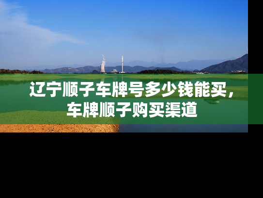 辽宁顺子车牌号多少钱能买，车牌顺子购买渠道-第1张图片-七号汽车选号