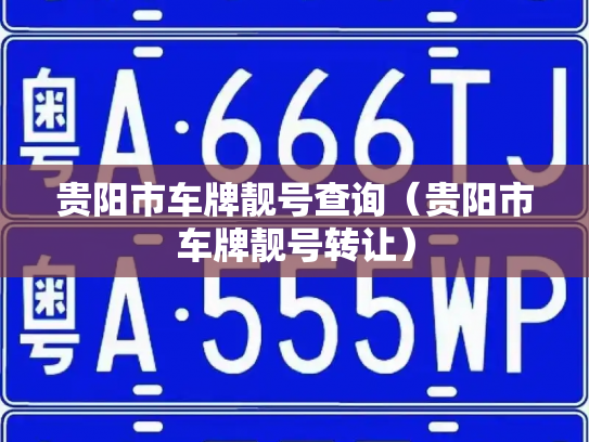 贵阳市车牌靓号查询（贵阳市车牌靓号转让）-第2张图片-七号汽车选号
