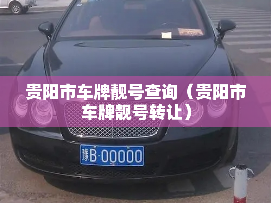 贵阳市车牌靓号查询（贵阳市车牌靓号转让）-第3张图片-七号汽车选号